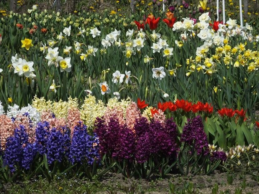 3.4-42 - 2016_02-04_Febr-Aprilie