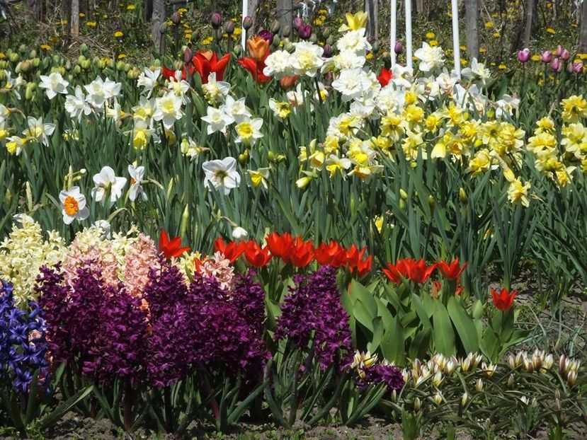 3.4-43 - 2016_02-04_Febr-Aprilie