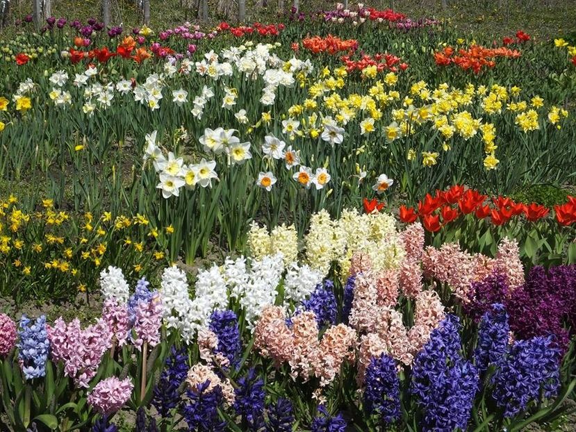 4.4-3 - 2016_02-04_Febr-Aprilie