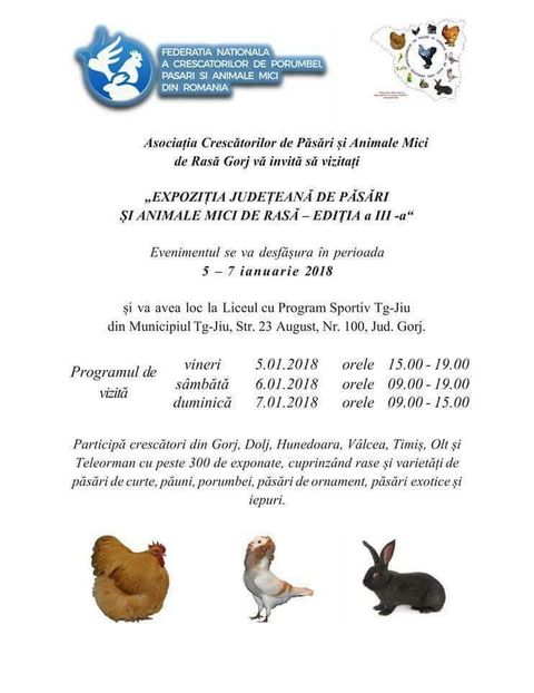 received_1579658905417192 - CONTACT