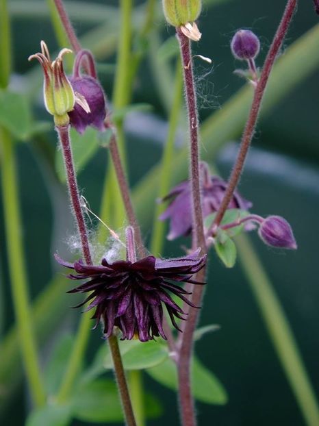  - 2016_05_06_Mai_Iunie