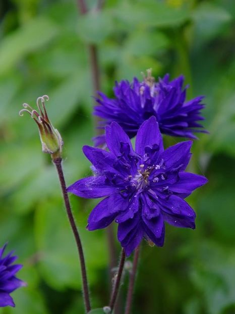  - 2016_05_06_Mai_Iunie