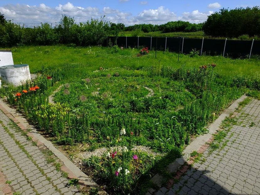  - 2016_05_06_Mai_Iunie