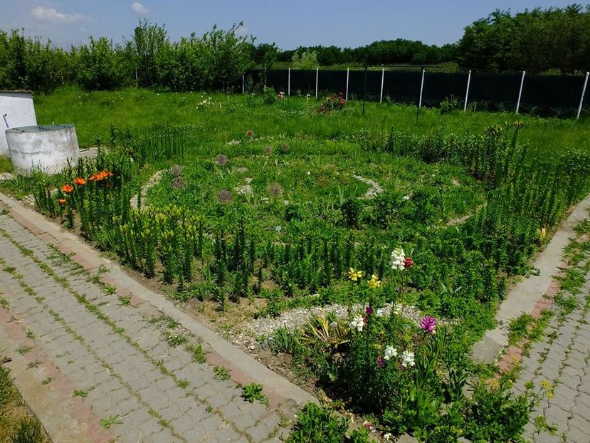  - 2016_05_06_Mai_Iunie