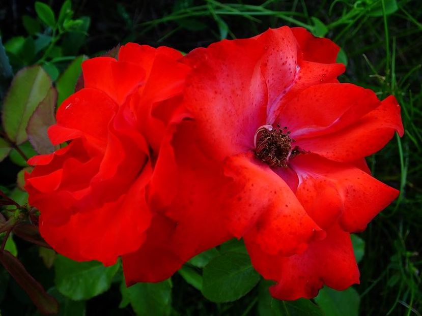 foc de tabara - 2016_05_06_Mai_Iunie