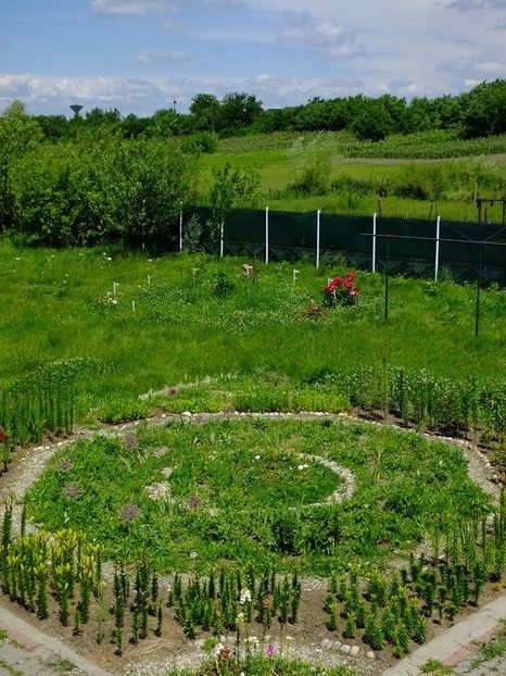 octogon1 - 2016_05_06_Mai_Iunie