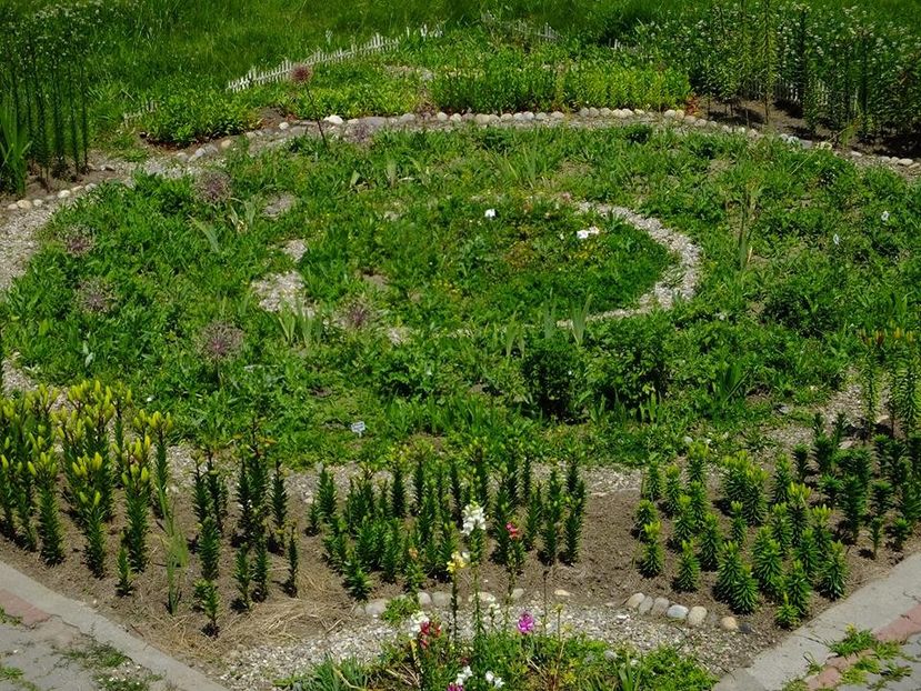 octogon3 - 2016_05_06_Mai_Iunie