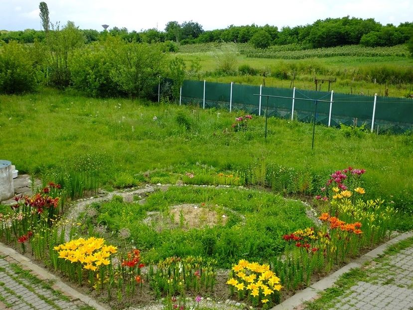 octogon1 - 2016_06-08_Iunie-August