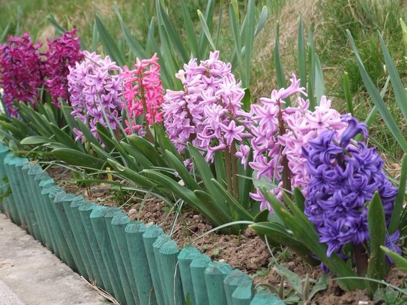  - 2015_02-05_Febr-Mai