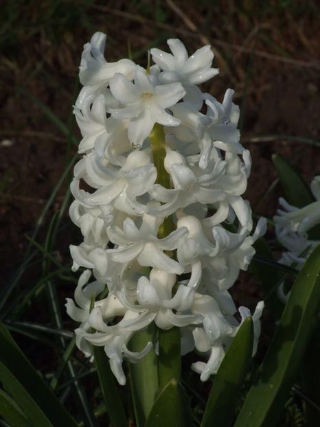  - 2015_02-05_Febr-Mai