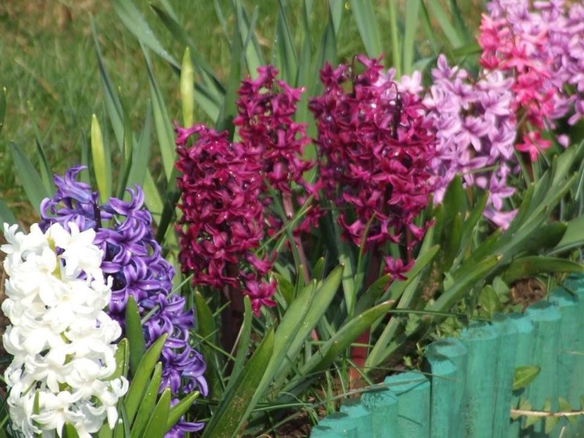  - 2015_02-05_Febr-Mai