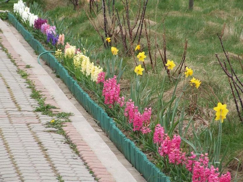  - 2015_02-05_Febr-Mai