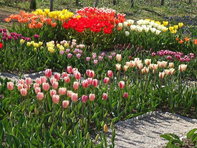  - 2015_02-05_Febr-Mai