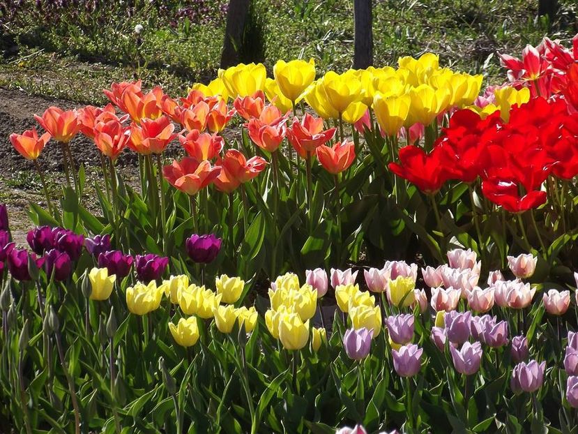  - 2015_02-05_Febr-Mai