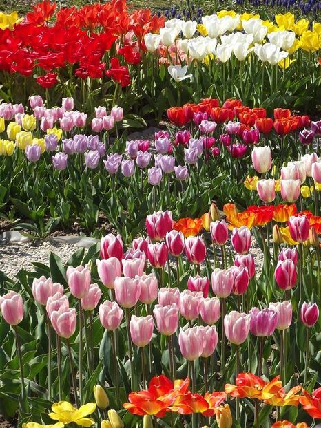  - 2015_02-05_Febr-Mai