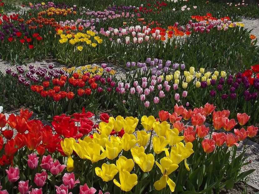  - 2015_02-05_Febr-Mai