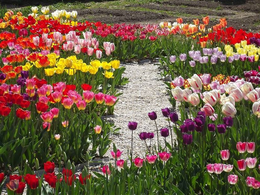  - 2015_02-05_Febr-Mai