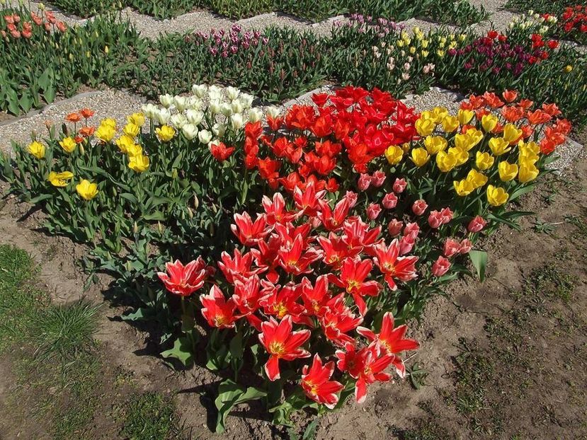  - 2015_02-05_Febr-Mai