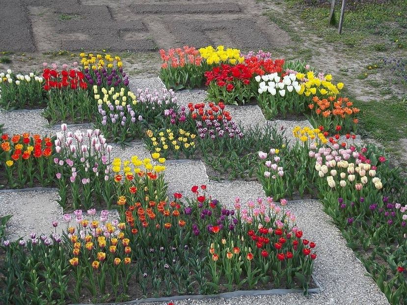  - 2015_02-05_Febr-Mai