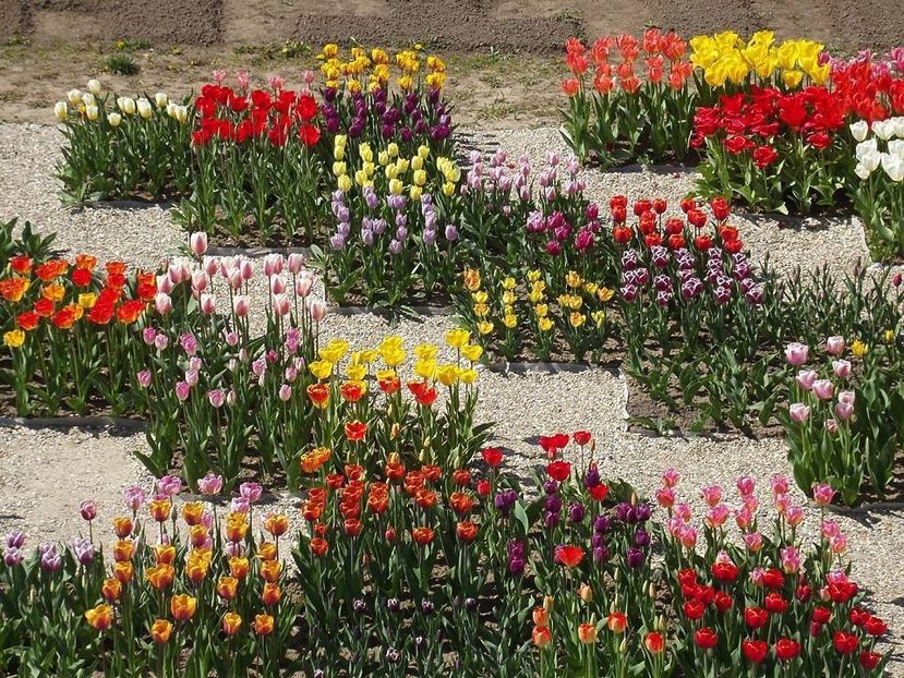  - 2015_02-05_Febr-Mai