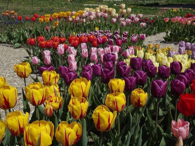  - 2015_02-05_Febr-Mai