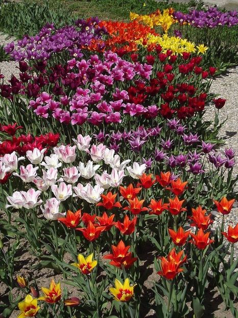  - 2015_02-05_Febr-Mai