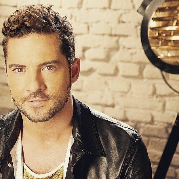 b88005ff666a101069fbad16a3dd229a - David Bisbal