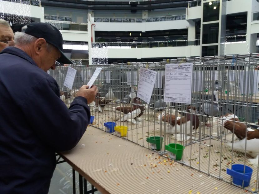  - Expo Craiova - Fauna Baniei 2017