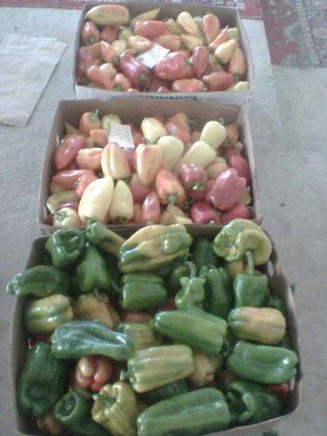 pe piata  din Filiasi - sfirsit de noiembrie 2017