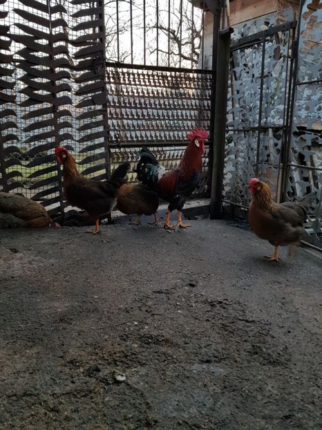  - 5 GAINI ITALIENE 2018