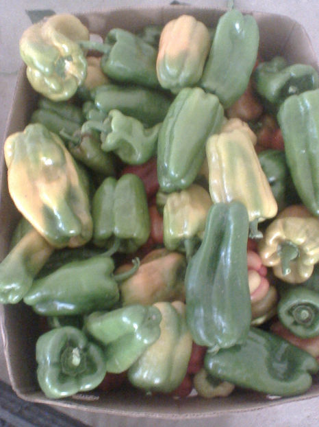  - sfirsit de noiembrie 2017