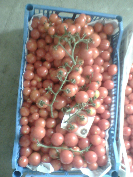  - sfirsit de noiembrie 2017