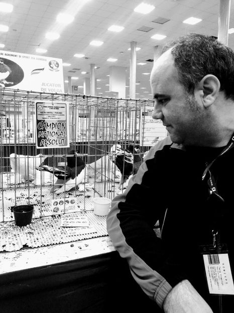 romexpo 2017 - a REZULTATE