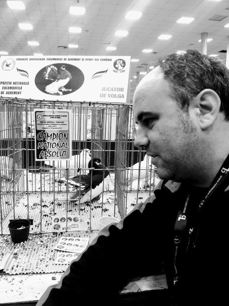 romexpo 2017 - a REZULTATE