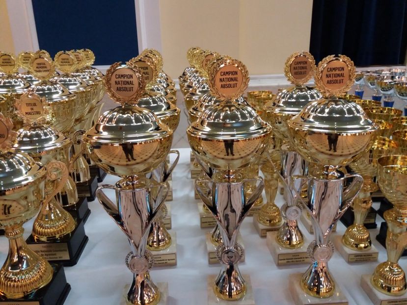 romexpo 2017 - a REZULTATE