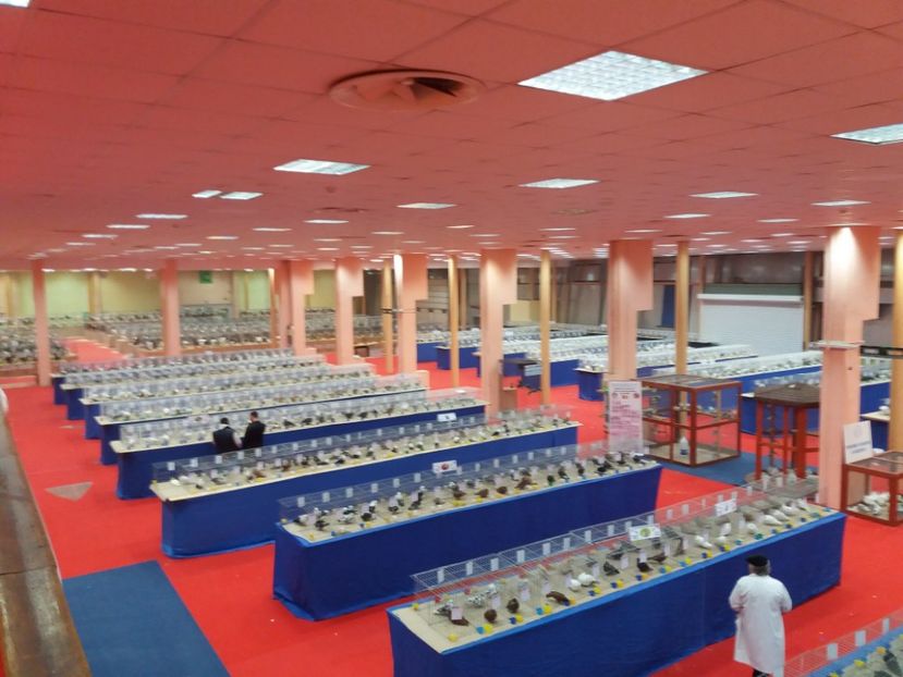  - Expozitia Nationala Bucuresti 2017