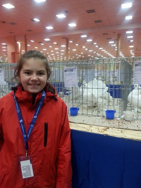  - Expozitia Nationala Bucuresti 2017