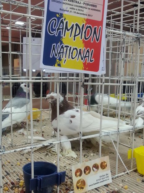  - Expozitia Nationala Bucuresti 2017