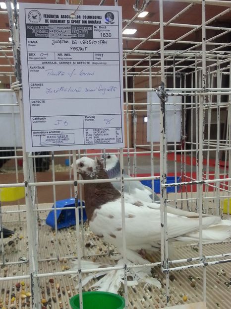  - Expozitia Nationala Bucuresti 2017