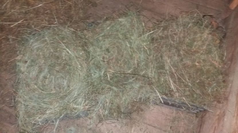 Cred ca le plac - 01 - Matca pentru 2018