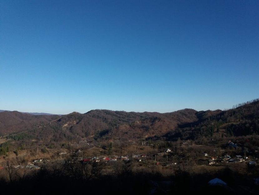  - A c a s a   e locul unde ti-e inima