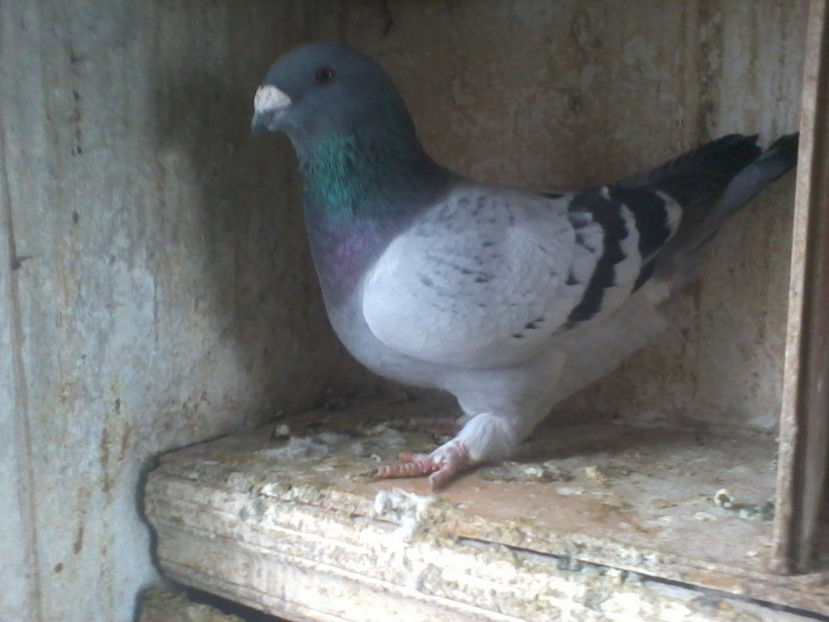 2017-12-30 11.38.03 - contact