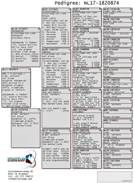 NL17-1820874 F - A1 PERECHI MATCA pentru 2019