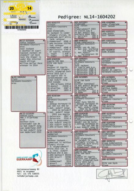 1604202-14-M-SOLZAT - A1 PERECHI MATCA pentru 2019