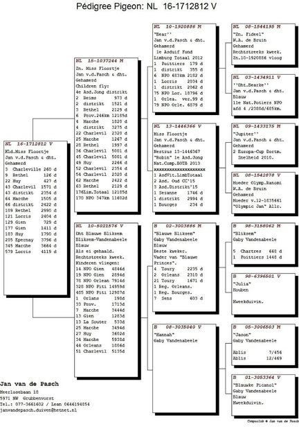 16 - 1712812 F - A1 PERECHI MATCA pentru 2019