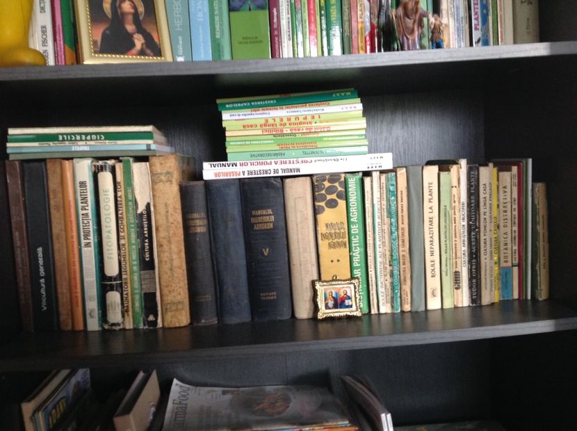  - Dăunător in pământ vierme alb de turba?