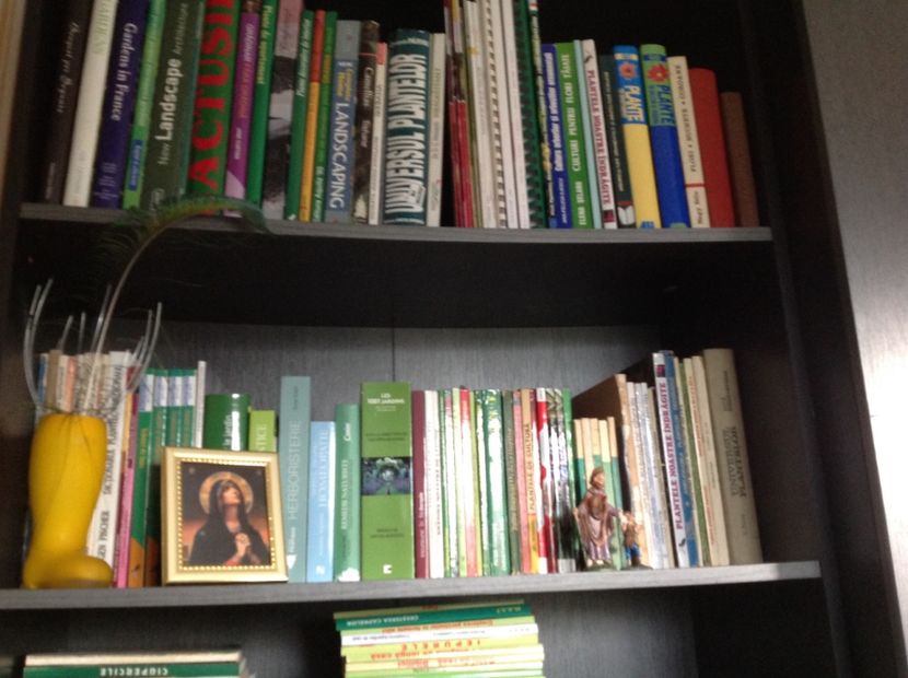  - Dăunător in pământ vierme alb de turba?