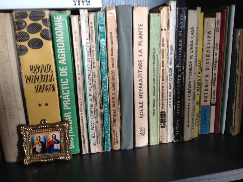  - Dăunător in pământ vierme alb de turba?