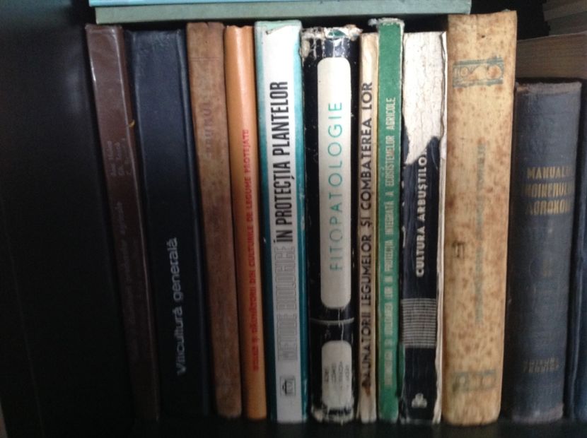  - Dăunător in pământ vierme alb de turba?