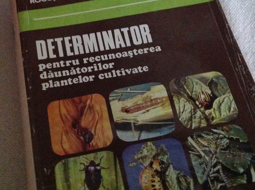  - Dăunător in pământ vierme alb de turba?